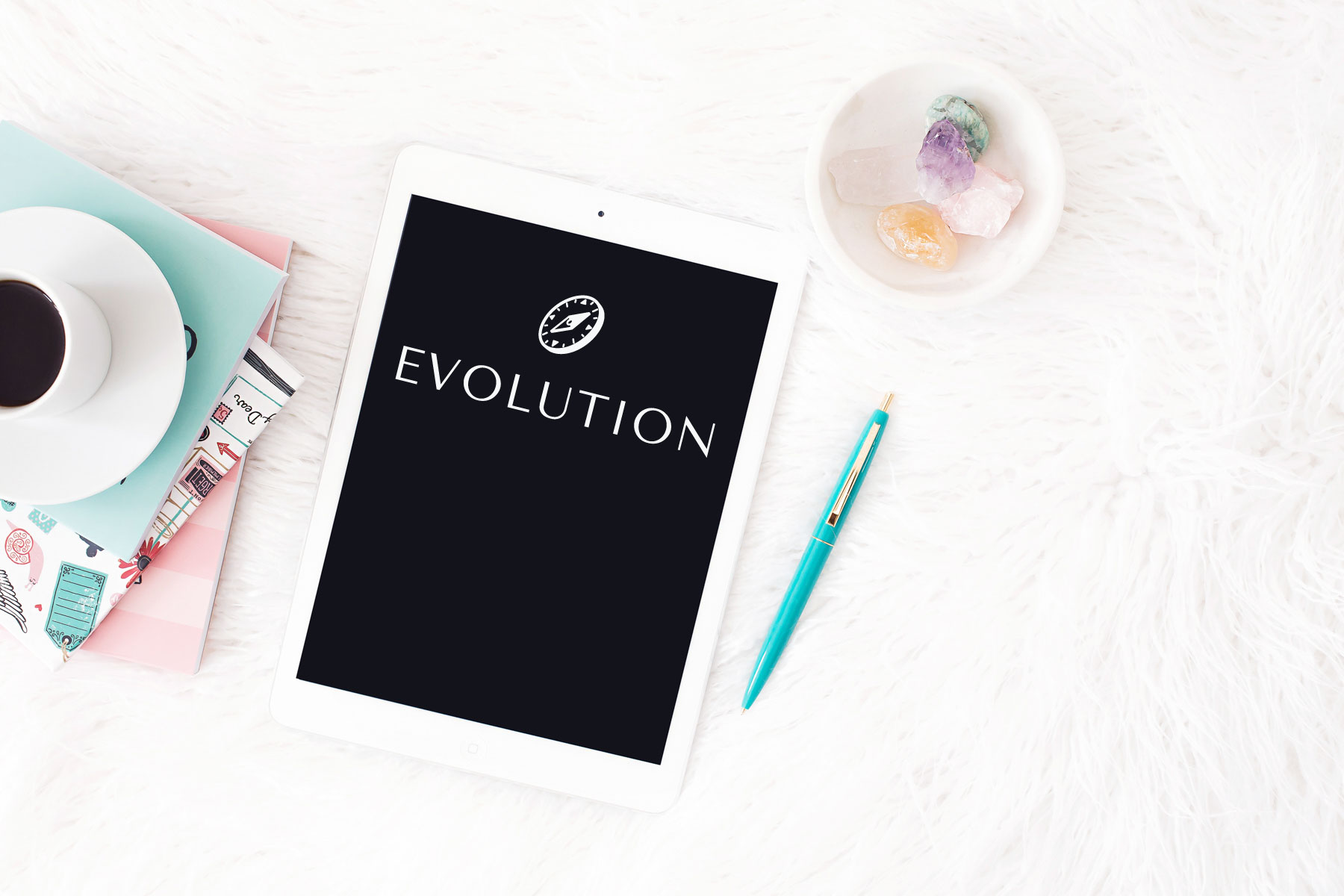 Online-Mastermind-Programm EVOLUTION